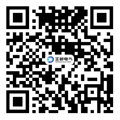 浙江王都電氣科技有限公司